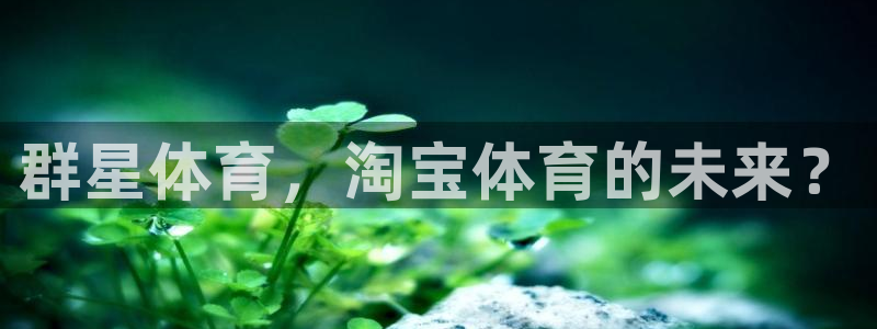 bbin视讯游戏平台：群星体育，淘宝体育的未来？