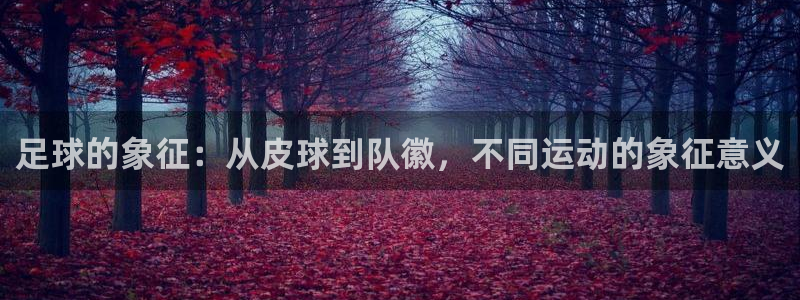 bbin视讯游戏官网：足球的象征：从皮球到队徽，不同运动的象征意义