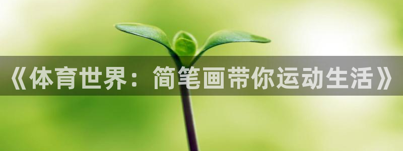 bbin视讯游戏官网：《体育世界：简笔画带你运动生活》