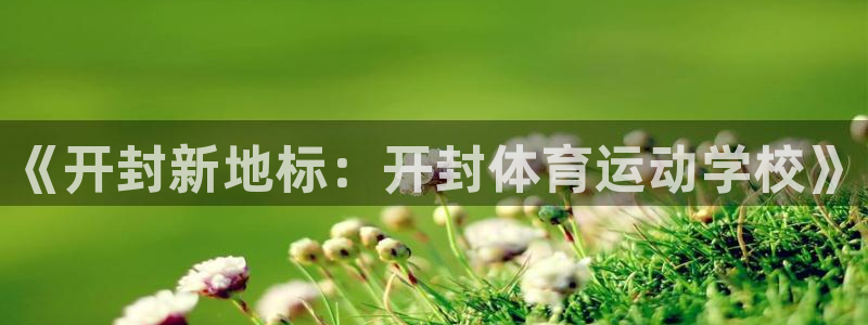 bbin视讯游戏平台：《开封新地标：开封体育运动学校》