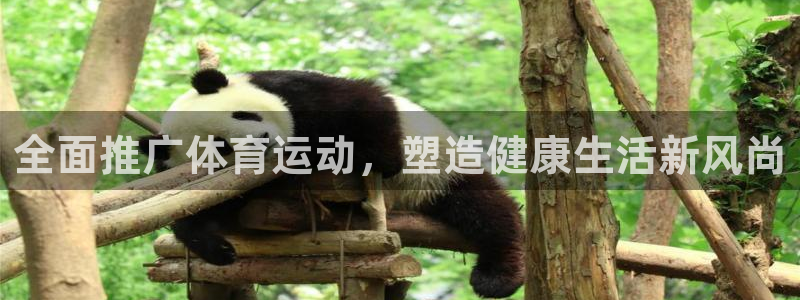 bbin视讯下