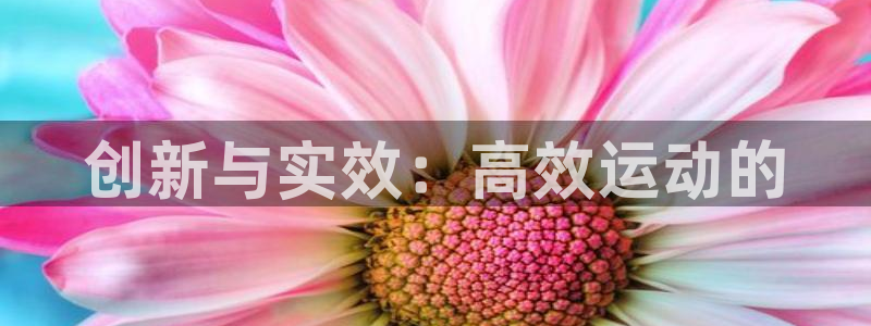 bbin视讯游戏平台：创新与实效：高效运动的