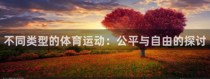 bbin视讯游戏官网：不同类型的体育运动：公平与自由的探讨