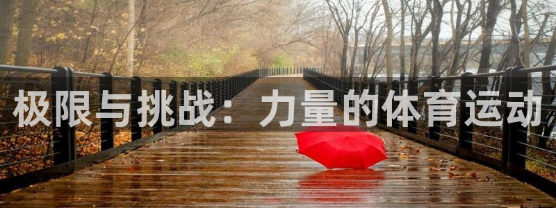 bbin视讯下